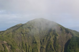 Algarvia-Pico da Vara