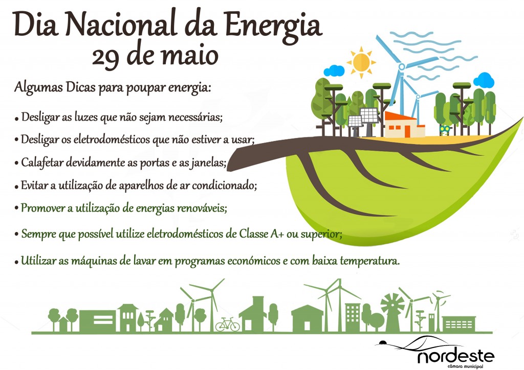 DiaNacionalDa Energia