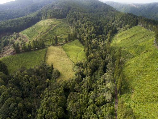 Passeio Pedestre - Trilho Quinhentista - 18 maio 2019