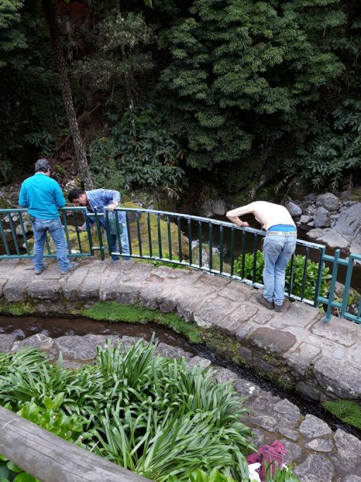 Beneficiações no Parque da Ribeira dos Caldeirões