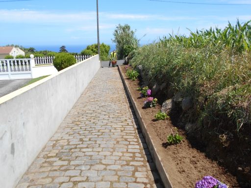 Limpeza de caminhos e jardins na Assomada - Lomba da Fazenda