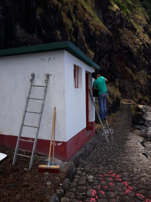 Limpeza e beneficiação da Praia do Lombo Gordo (3)