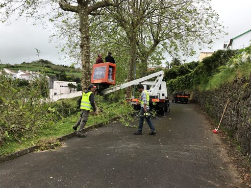 Limpezas e manutenção de bermas em caminhos municipais do concelho