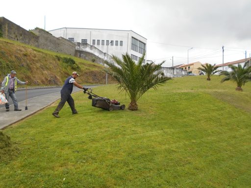 Limpezas e manutenção de jardins no concelho