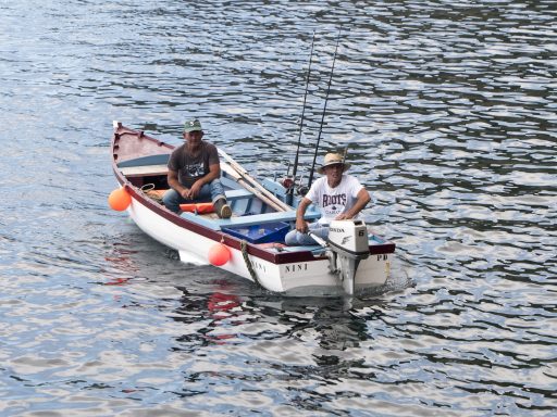 Torneio de Pesca em Alto Mar - 22 julho 2019