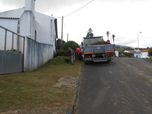Limpeza de Jardins na Lomba da Fazenda (1)