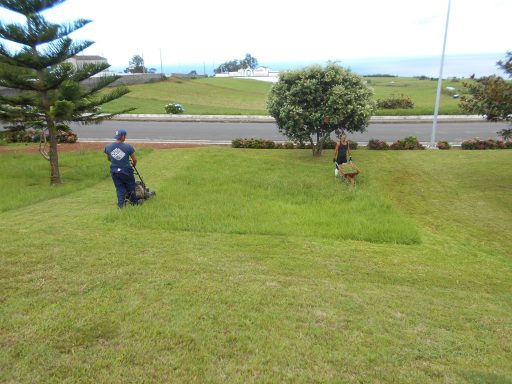 Limpeza de Jardins na Lomba da Fazenda (3)