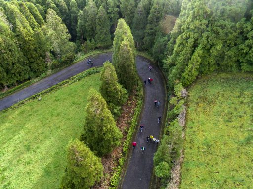 Percurso Pedestre Pico do Bartolomeu - 8 fevereiro 2020