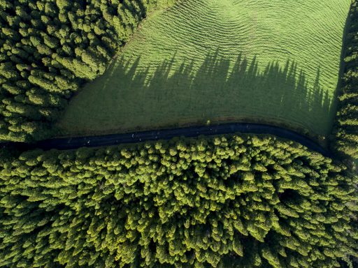 Percurso Pedestre Pico do Bartolomeu - 8 fevereiro 2020