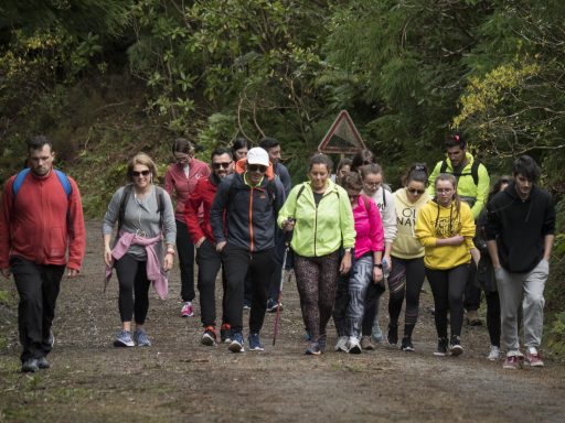 Percurso Pedestre Pico do Bartolomeu - 8 fevereiro 2020