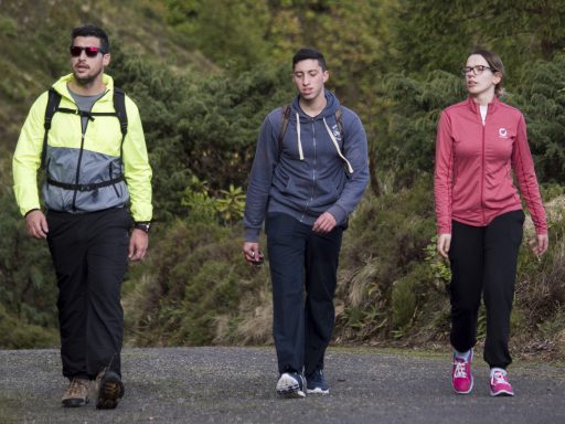 Percurso Pedestre Pico do Bartolomeu - 8 fevereiro 2020