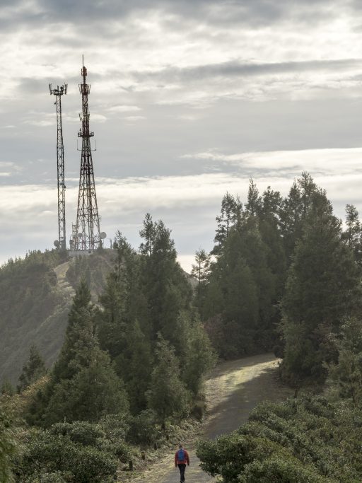 Percurso Pedestre Pico do Bartolomeu - 8 fevereiro 2020