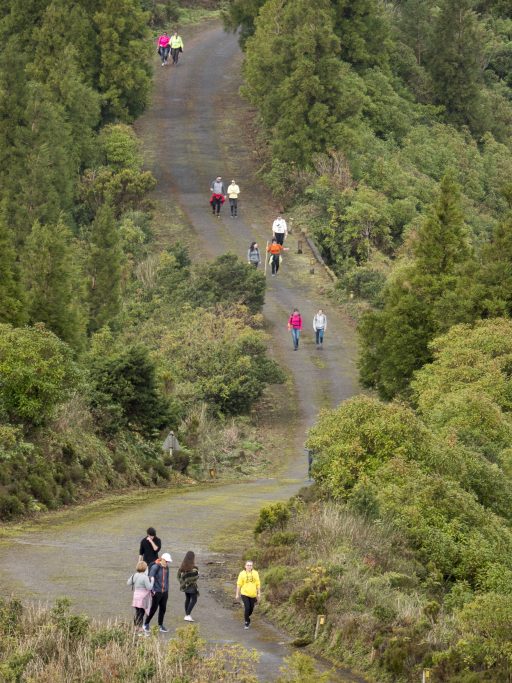 Percurso Pedestre Pico do Bartolomeu - 8 fevereiro 2020