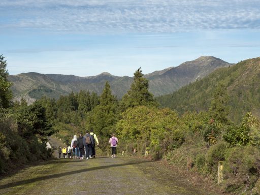 Percurso Pedestre Pico do Bartolomeu - 8 fevereiro 2020