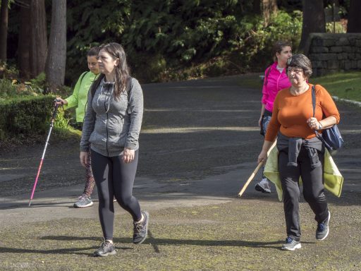 Percurso Pedestre Pico do Bartolomeu - 8 fevereiro 2020