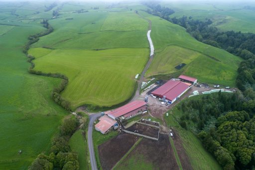 Beneficiação de vias - Caminho do Espigão da Assomada, São Pedro de Nordestinho