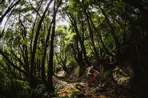 2021 - TRANSATLANTIS - DAY 3-28