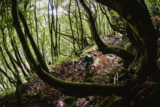 2021 - TRANSATLANTIS - DAY 3-29