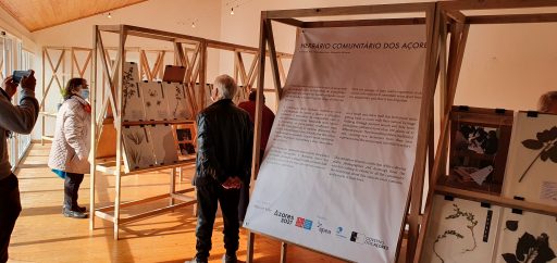 Visita Utentes Cartão do Idoso a Exposição de Herbário