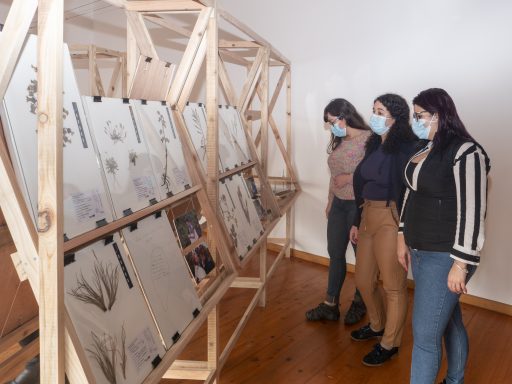 Visita Utentes Cartão do Idoso a Exposição de Herbário