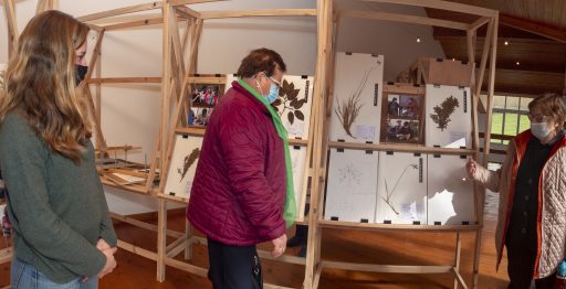 Visita Utentes Cartão do Idoso a Exposição de Herbário