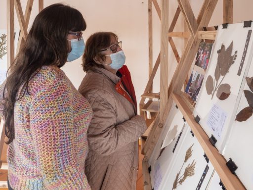 Visita Utentes Cartão do Idoso a Exposição de Herbário