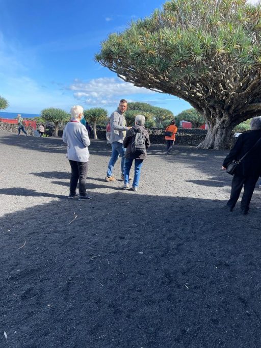 341fe1dd-6c8b-43f6-9ab7-3af34db0050f