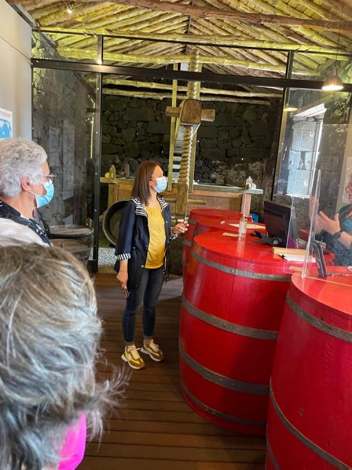 4770b5d5-ba21-4077-a743-e91c3e176605