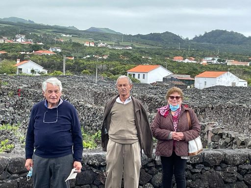 6f51554b-eaa7-4e6a-b17b-8d5f97088225