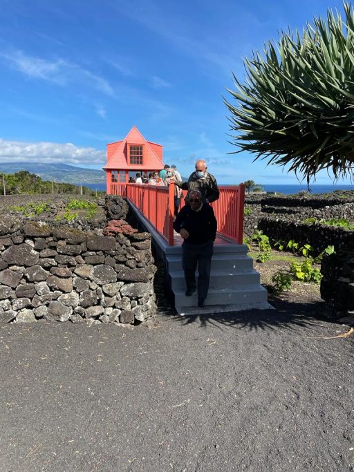 d73fc664-3719-43ff-9626-b8435bca3523