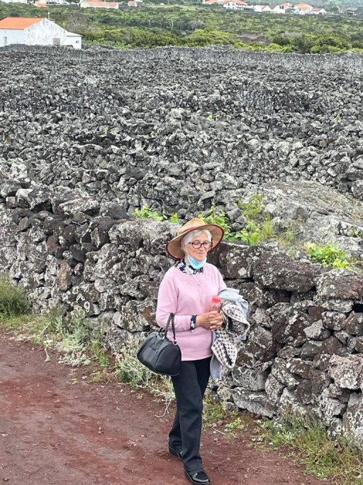 d8b7a9cf-70e9-47af-9505-94a41b410713