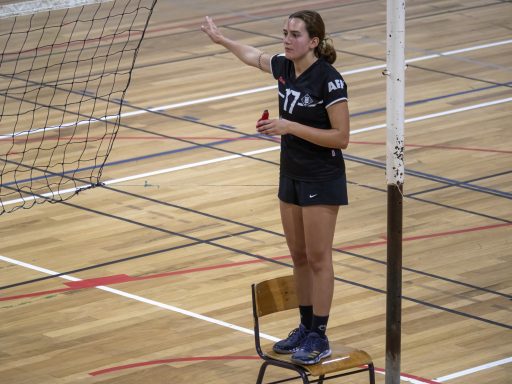 P2255077-DeNoiseAI-standard