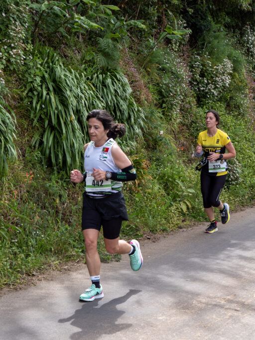 Corrida de Santana - Nordeste