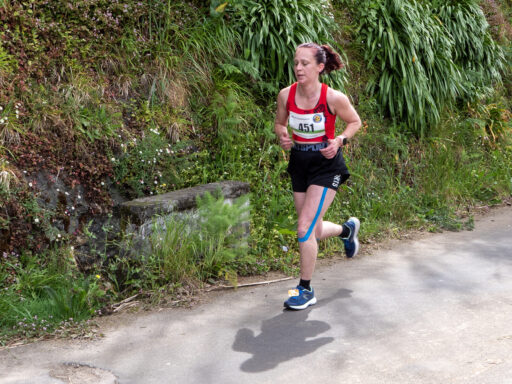 Corrida de Santana - Nordeste