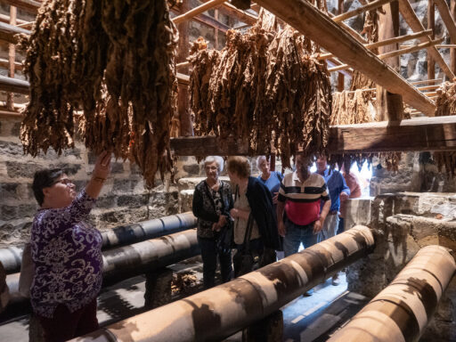 Visita Santuário do Santo Cristo e Museu do Tabaco da Maia
