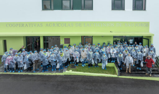 DJI 0987 (2) - Cópia