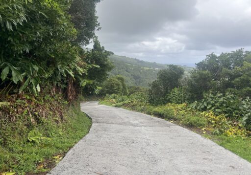 Betonagem em colaboração com a Junta de Freguesia de Nordeste do Caminho do Pico - Pedreira