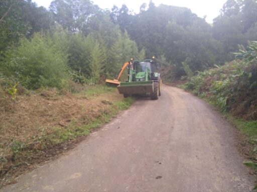 Podas e limpezas em todo o concelho