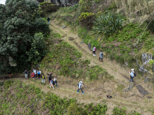 "Sábados da Natureza" Lomba da Fazenda/Pico do Vento [11 abril 2026]