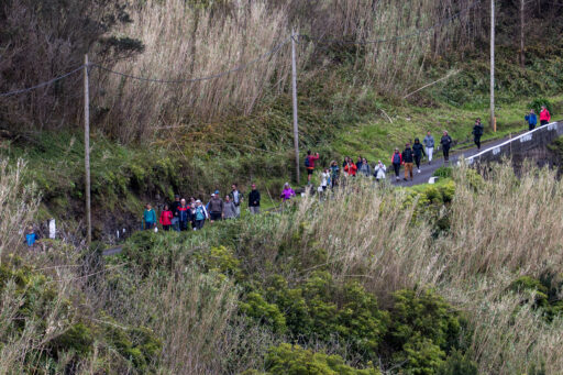 "Sábados da Natureza" Lomba da Fazenda/Pico do Vento [11 abril 2026]
