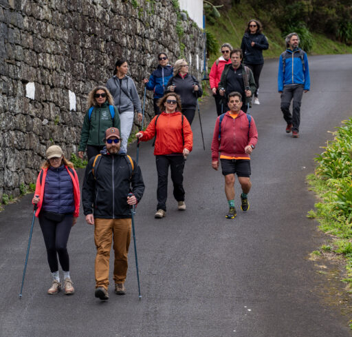 "Sábados da Natureza" Lomba da Fazenda/Pico do Vento [11 abril 2026]