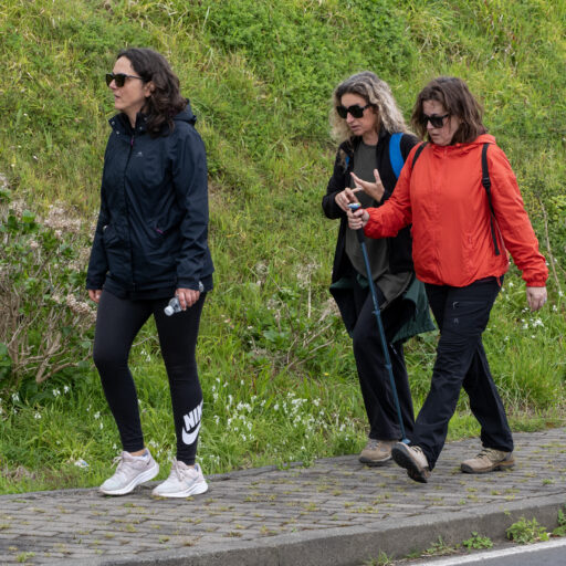 "Sábados da Natureza" Lomba da Fazenda/Pico do Vento [11 abril 2026]