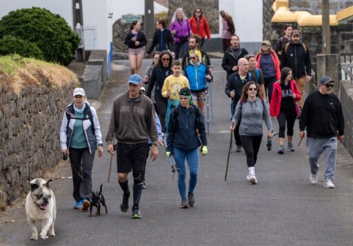 "Sábados da Natureza" Lomba da Fazenda/Pico do Vento [11 abril 2026]
