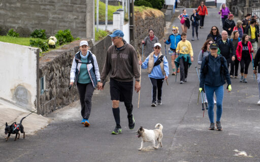 "Sábados da Natureza" Lomba da Fazenda/Pico do Vento [11 abril 2026]
