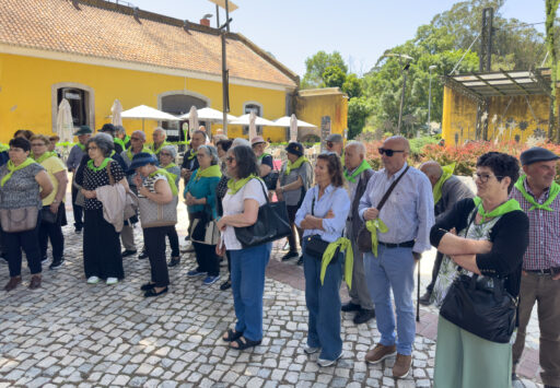 Viagem ao Santuário de Fátima [26 a 29 maio 2026]