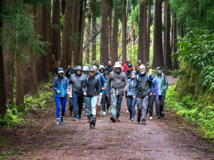 Pelos Limites do Concelho - Cancela do Cinzeiro/Alameda dos Plátanos